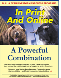 IR Brochure / Bull & Bear